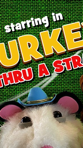 Flatt Broke on Instagram: "Turkey Thru a Straw – a Hilarious Holiday Puppet Parody ft. FLATT BROKE starring Billy Bob Broke & Edard Flatt) Get ready to laugh — it's puppet filled holiday mishap: Edard Flatt’s Thanksgiving goes sideways in this country-parody music video! Featuring puppets, colorful animation, and the earworm chorus of Turkey Thru a Straw, this family-friendly novelty song is perfect for holiday playlists.🦃😂 If you liked this, subscribe and ring the bell for more puppet songs &