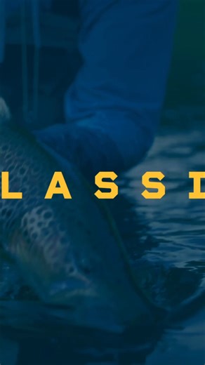 18K views · 105 reactions | The biggest fishing sale of the year is HERE! Shop our Spring Classic Fishing Sale and gear up on everything you need to get ready for Spring! Click here to shop: https://bit.ly/41ubyk1 | Bass Pro Shops | Facebook