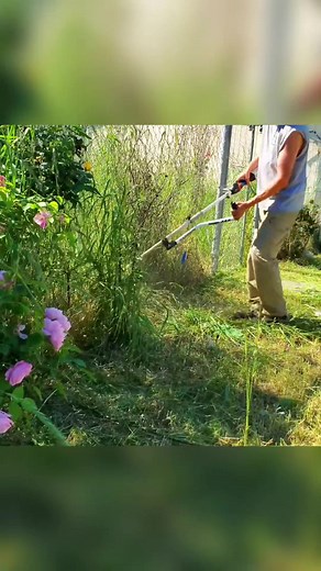 Powerful Battery String Trimmer for Ultimate Lawn Care | STIHL KMA135R