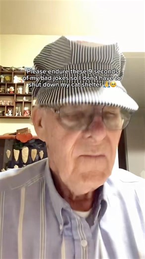 Link in bio for donations ❤️‍🩹🙏#cats #animalrescue #help #donate #shelter