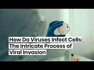 How Do Viruses Infect Cells: Uncovering the Microscopic Invasion Strategy