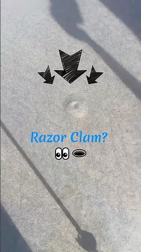 How to Spot Razor Clams & tips for the Oregon Coast #razorclams #oregoncoast #clamming