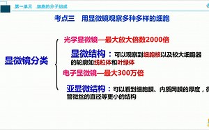 高中生物必修一（一轮复习）——显微镜1