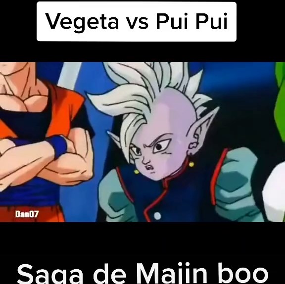 Vegeta vs Pui Pui in Majin Buu Saga