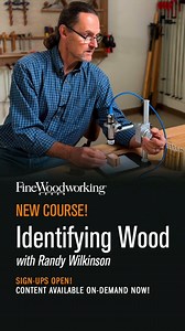 4.6K views | Gain a deep understanding of wood anatomy and...