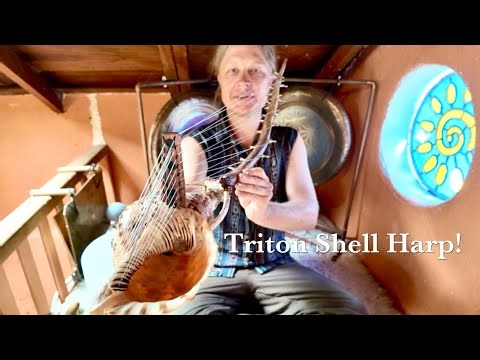 Incredible Triton Shell Cross Harp!