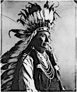 Nez Perce