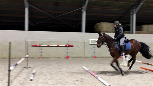 Training El Callan: Insights on Young Horse Development