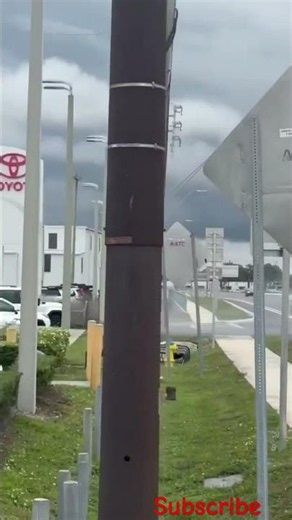 Toyota Supra crashes and ends by Toyota dealer