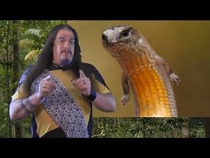 Systematic Classification of Life - ep31 Theria