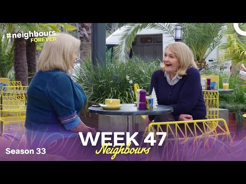 WEEK 47 | Episodes 7741-7745 | Neighbours 2017 (Season 33)