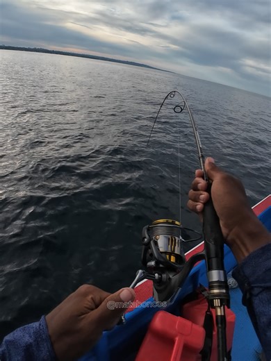 Understanding Sea King Spectre 6000 Fishing Reel