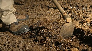 Video Stok Rural Man Using Grub Hoe Plow (100% Tanpa Royalti) 31527097 | Shutterstock