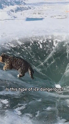 Is this type of ice dangerous?#science #popular #usa #ice | ices