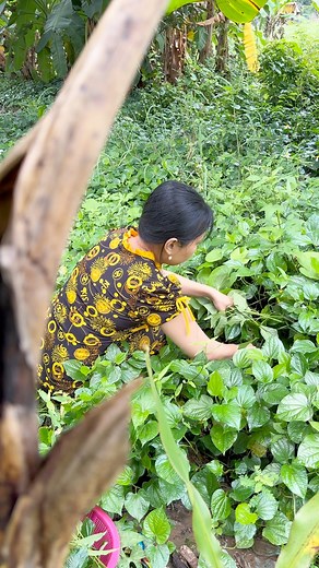 1.4M views · 25K reactions | Nay em đi chợ bị vượt quá chỉ tiêu rồi 﫣 #angicungduoc | Ăn gì cũng được | Facebook