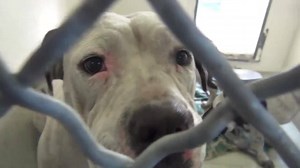 10K views · 459 reactions | This Mama is something special. You can...