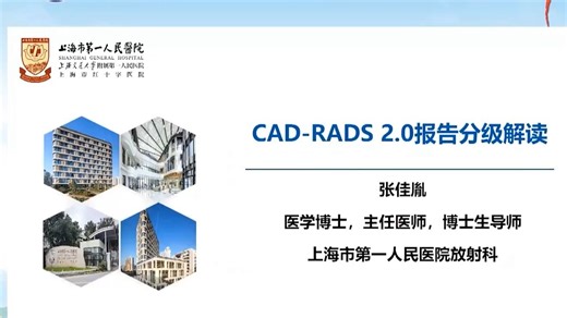 CAD-RADS2.0报告分级解读-张佳胤