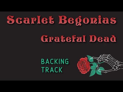 Scarlet Begonias » Backing Track » Grateful Dead