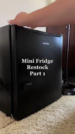 Mini Fridge with Lock for Snack Security