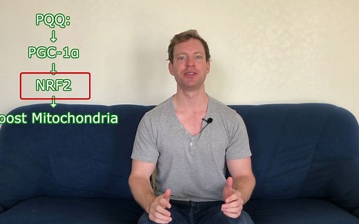 PQQ的益处和副作用