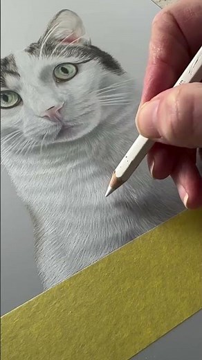 Jinx the Cat - Portrait Process & Special Help