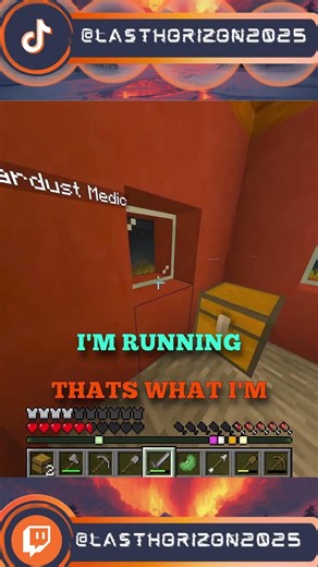 Minecraft - Vampire Medic