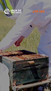 10K views · 23 reactions | EBOX DZ on Reels | Facebook