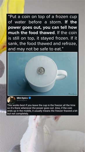 Freezer Safety Trick Everyone Should Know