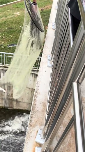 This net is perfect for catching fish on bridges or at sluice gates