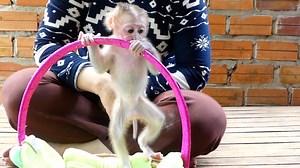 286K views · 9.5K reactions | So Adore Gestur Baby Emma Without Diaper Playing On Basket After Mom Cleaning | Monkey Daily | Facebook