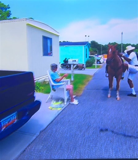 Trailer Park: Welcome to Myrtle Manor Season 2 Episode 4 #myrtlebeach #trailerpark #fyp #realitytv #myrtlemanor #horse