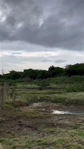 जंगली सूअर पकड़ने का तरीका। real jungli suar pakad ne ka tricka part