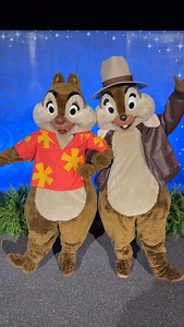 Chip ‘n’ Dale Adventure 10K! #woodbreyfamilytravel #disneyparks #disneytravel #rundisney #waltdisneyworld | Disney Character Photos