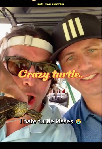 Shockingly Fast Turtle Caught on Camera! 🐢💨 #funnyanimals