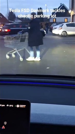 Tesla FSD - Aarhus, Denmark - Chaos at Rema 1000