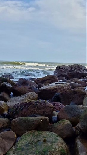 Finding Fossil Nodules on the beach to after preparation, you just never know what's inside! 🌊🪨🔬🌀😍 #fossilhunting #fossils #tiktok #coast #ammonite
