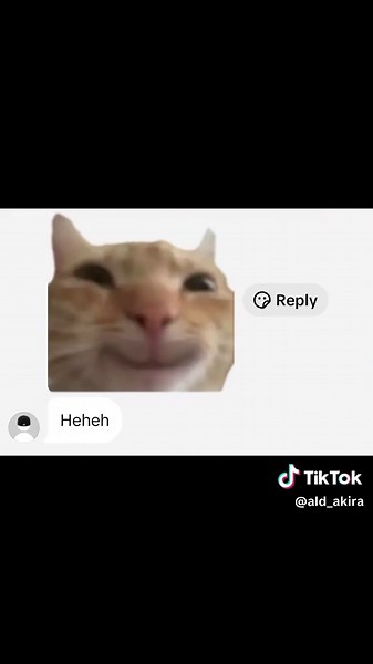 ALD_akira on TikTok
