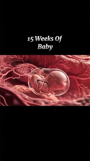 15 Weeks Pregnant | Baby Development in the Womb (Week 15)