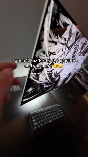 Amazing 175Hz 1440p IPS Monitor Review