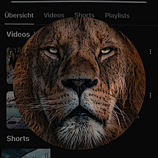 Ihr könnt das auch machen erinnert ihr euch in meinen alten Kanal habe ich das auch gemacht mach das