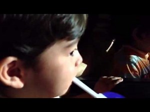 Wiggles Celebration Concert 2012