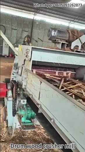 Efficient Corn Drying Process with Heavy-Duty Corn Dryer Machine - Customer Showcase