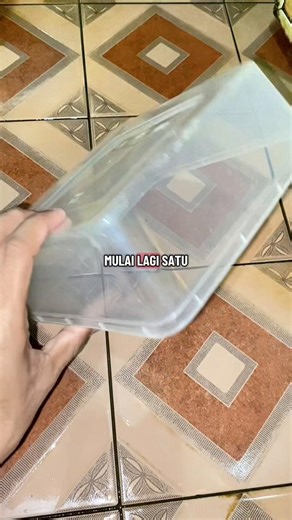 Bagus nya pakai jantan yg merah atau yg kuping gajah guyss #PemulaTapiNiat #CupangJourney #AbizhrrBettaLab #BettaProject #cupanghiasindonesia