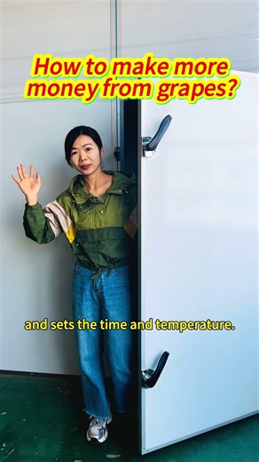 Still Drying Grapes on the Ground? Upgrade to a Heat Pump Dryer & Boost Your Profits#grape #dryer