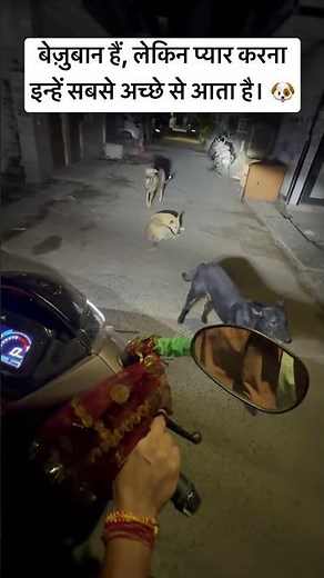 इनके लिए थोड़ा सा प्यार, थोड़ा सा खाना और थोड़ी सी मदद ही बहुत मायने रखती है। 🙏🐾