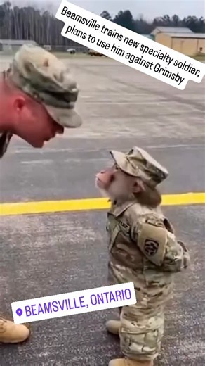 Channel 6 Ontario News on Instagram: "Beamsville (2021 Urban area estimated population 13,323)[2] is a community that is part of the town of Lincoln, Ontario, Canada. It is located along the southern shore of Lake Ontario and lies within the fruit belt of the Niagara Peninsula. It contains century-old brick buildings, an old-fashioned downtown area with barbershops, women's dress shops, a bakery, a print shop, restaurants, banks and other businesses, and many orchards and vineyards. #ontario #ca