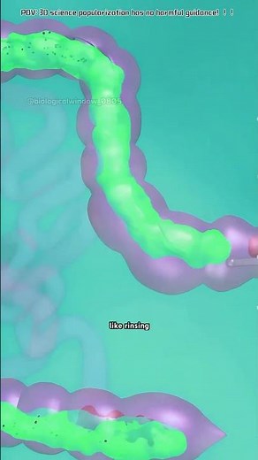 How Is Colon Hydrotherapy Performed( (3D Animation)#colonhydrotherapy #intestinalirrigation