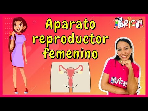 🚺👩🏻Aprende el aparato reproductor femenino.