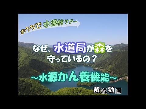 【おうちで水源林ツアー】水道局が森を守る理由～①水源かん養機能～