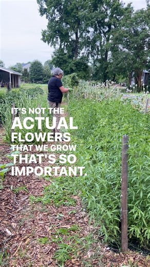 4.1K views · 43 reactions | Learning the processes is fundamental to flower farming success. It doesn’t really matter what you decide to grow as your crops, it’s doing it well that sets you apart from the crowd. Flower farming should be about so much more than selling flowers. It’s a lifestyle. #flowerfarmer #gardenersworkshopfarm | The Gardener's Workshop | Facebook